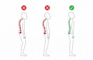 Neutral Spinal Posture