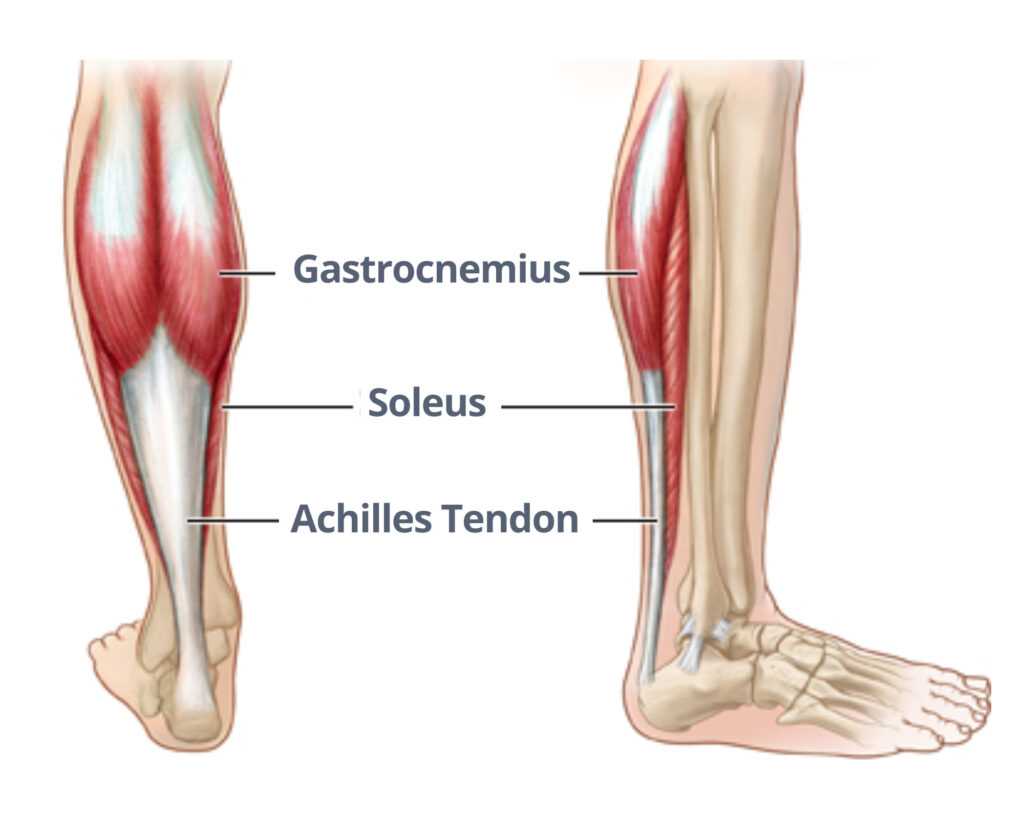 Physio For Calf Strains In Runners